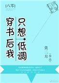 穿书后我只想低调免费阅读