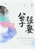 公子强娶大结局