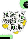 与男主离婚后嫁给反派的