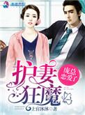 护妻狂魔已上线免费阅读