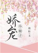娇宠小娘子全文免费阅读