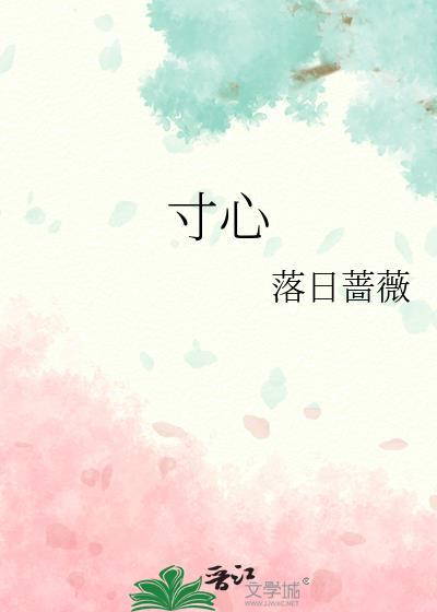 前路日将斜