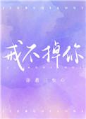 戒不掉你的温柔叶落无心