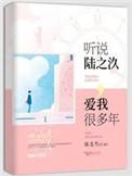 我爱了你很多年