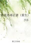 她是恶毒正妻(重生)讲的什么