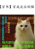穿成反派的猫双洁吗