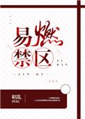 易燃禁区TXT免费阅读