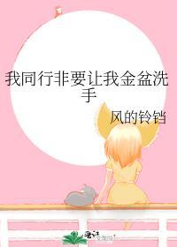 我同行非要让我金盆洗手免费阅读