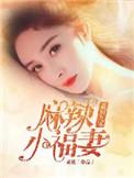 重回九零麻辣小福妻全文阅读