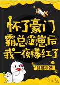 怀了豪门霸总的崽后我一夜爆红了BY