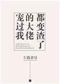 宠爱我的大佬bl