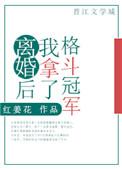 离婚后我拿到了格斗冠军在线阅读