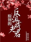 捡到的反派成夫君txt