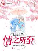 陆先生的情之所至电子书