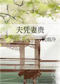 妻凭夫贵意思