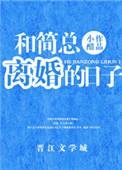 和简总离婚的日子78