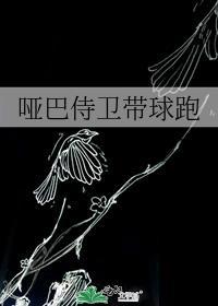 哑巴侍卫带球跑讲的什么