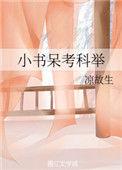 小呆子考科举