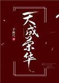 天成荣华txt