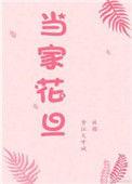 当家花旦by姀锡讲什么内容