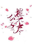 公子不才