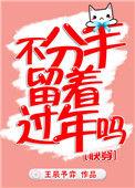 不分手留着过年吗txt