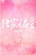独家偏爱番外