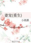 妻宠全文