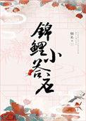 清穿锦鲤小答应TXT