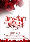 谁说我们要离婚写的什么