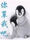 书名你罩我吧