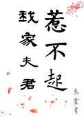 我家夫君惹不起讲的什么