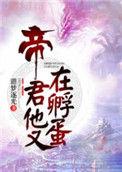 帝君他又在孵蛋免费阅读
