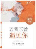 如果我不曾遇见你是什么歌