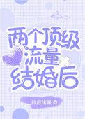 两个顶级流量结婚后番外百度