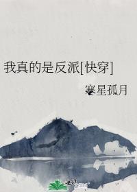 被招婿了 gl