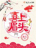 喜上眉头 非10讲的什么