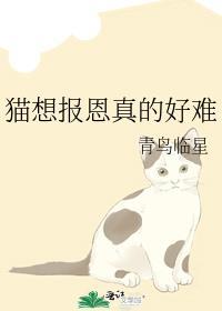猫想报恩真的好难by青鸟临星百度