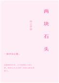 神之天平家里两块石头