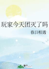玩家今天团灭了吗全文免费