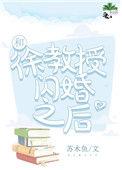和徐教授闪婚之后 苏木鱼