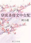 穿成圣母文中女配的