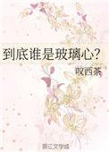 到底谁是玻璃心TXT