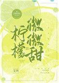 柠檬微微甜的笔趣阁