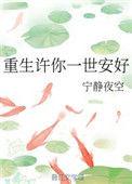 重生许你一世安好宁静夜空