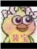 裴宝珠燕珩全文免费阅读