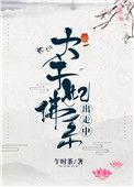 太子妃佛系出走中百度