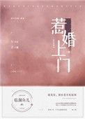 惹婚上门全文