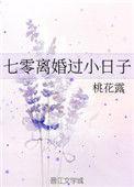 七零离婚日常