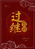 过继之子